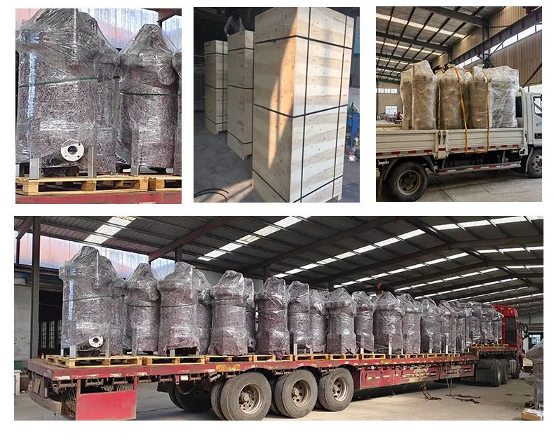 Factory 304 316 Stainless Steel Bag Core Type Filter Housing Unit